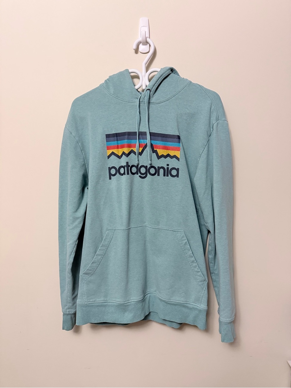 Patagonia Men's Teal Pullover Hoodie with Multicolor Logo